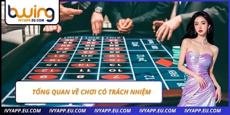 Tổng quan về chơi có trách nhiệm