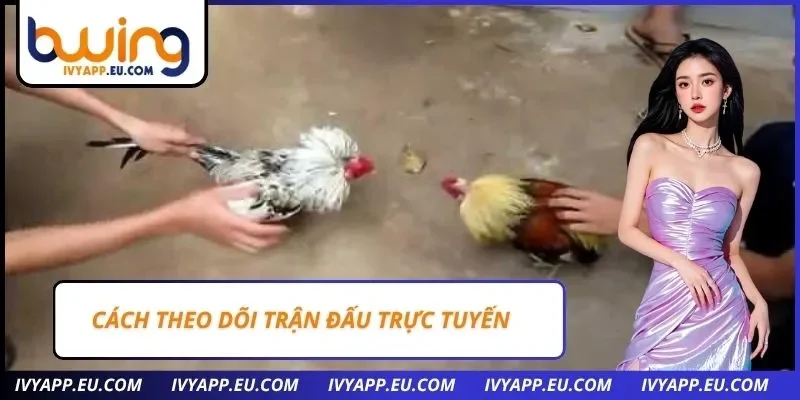 Cách theo dõi trận đấu trực tuyến