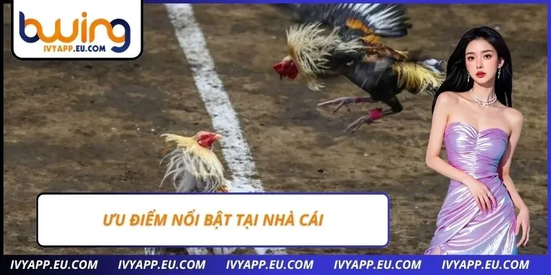 Ưu điểm nổi bật tại nhà cái