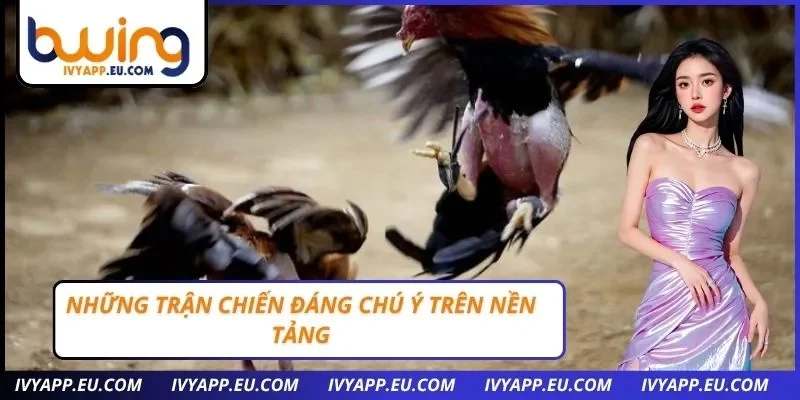 Những trận chiến đáng chú ý trên nền tảng